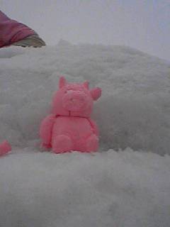 090205_1405~003.jpg
