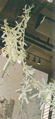 10-19-020.jpg