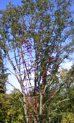 111016_1328~01.jpg