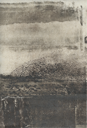 14-01011.jpg