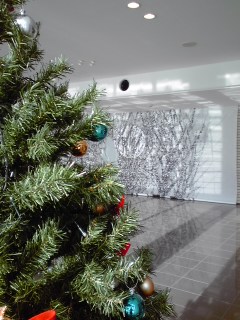 141220_1140~01.jpg